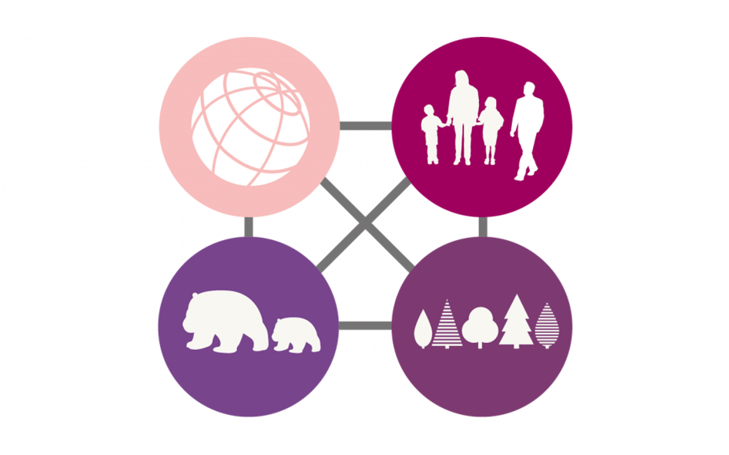 Infographique des interactions du WWF avec les différents acteurs