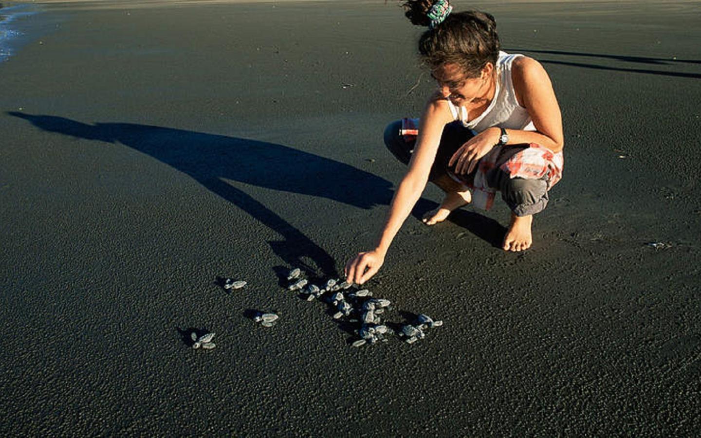 Jeune fille avec des bébés tortues