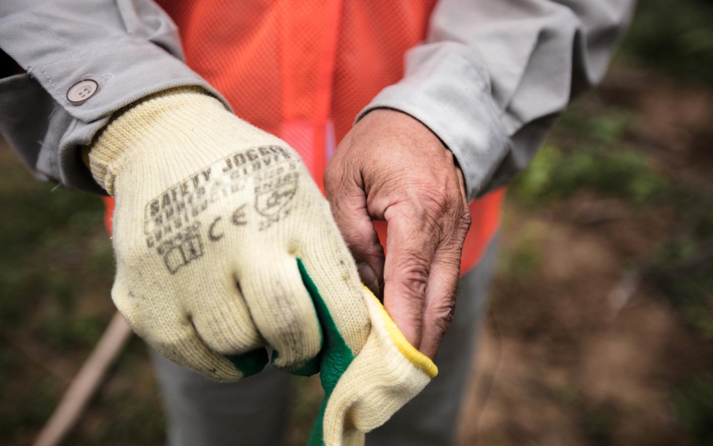 Travailleur formé par le FSC se préparant à couper du bois certifié, dans le cadre du partenariat entre le WWF et Ikea, dans le district de Phu Loc (Vietnam)