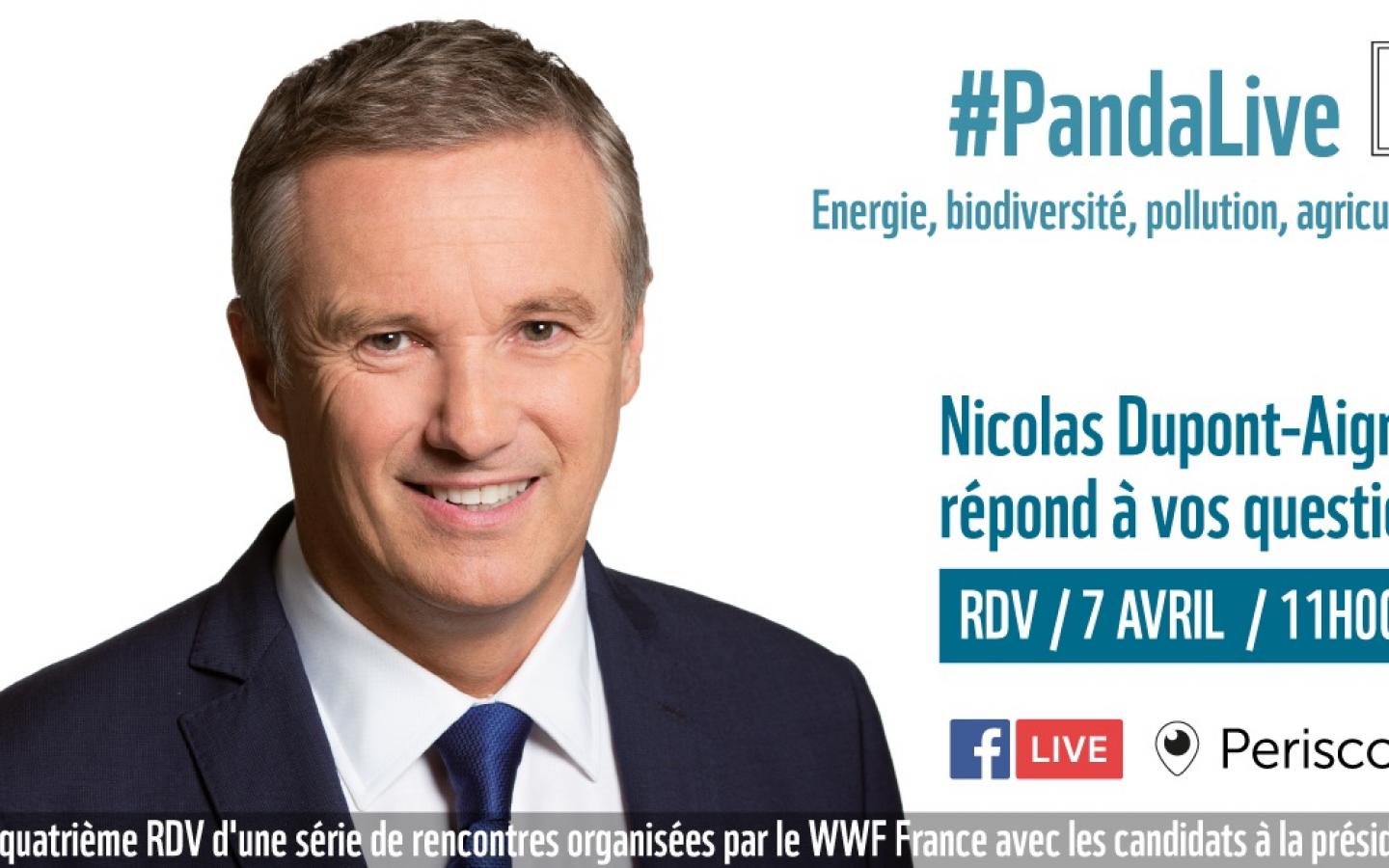 Pandalive - Nicolas Dupont Aignan