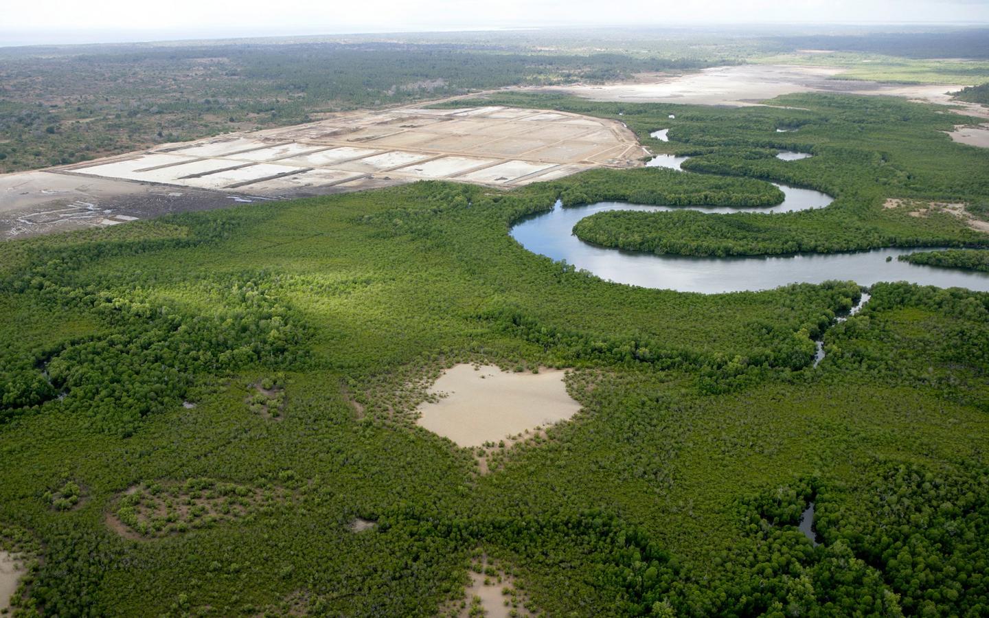 Construction d'un élevage de crevettes menaçant une forêt de mangroves, île Mafia (Tanzanie)