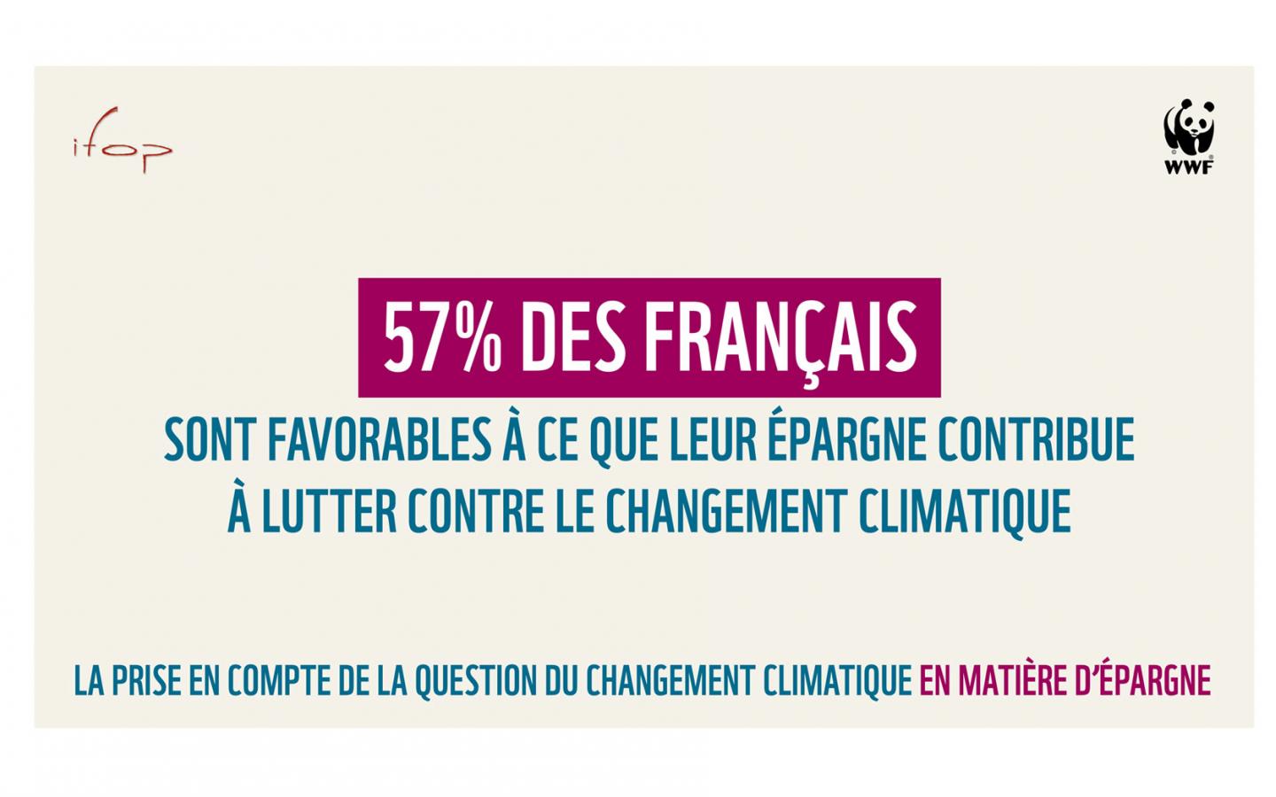 Infographie article 163