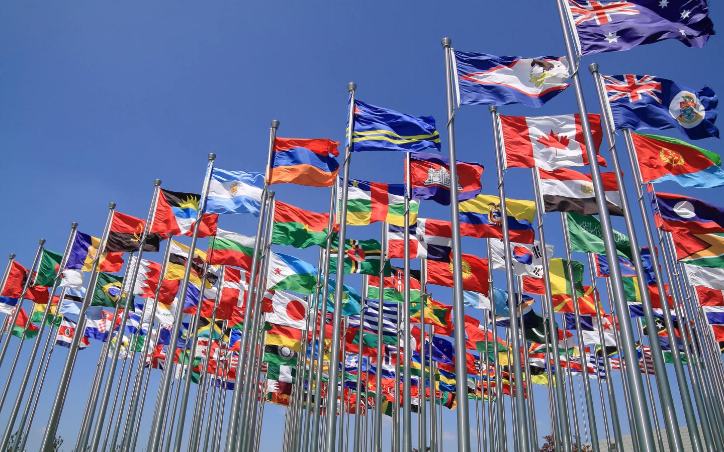 Drapeaux des différents pays du monde