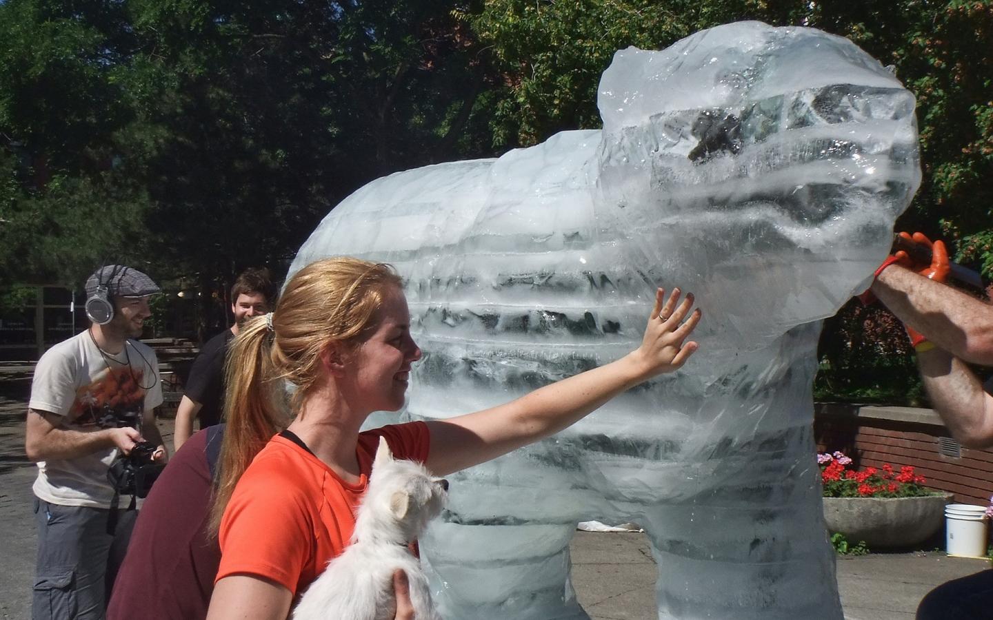 Sculpture de glace d'un ours polaire exposé à l'occasion des sommets du G8 et G20 de Toronto en 2010 (Canada)