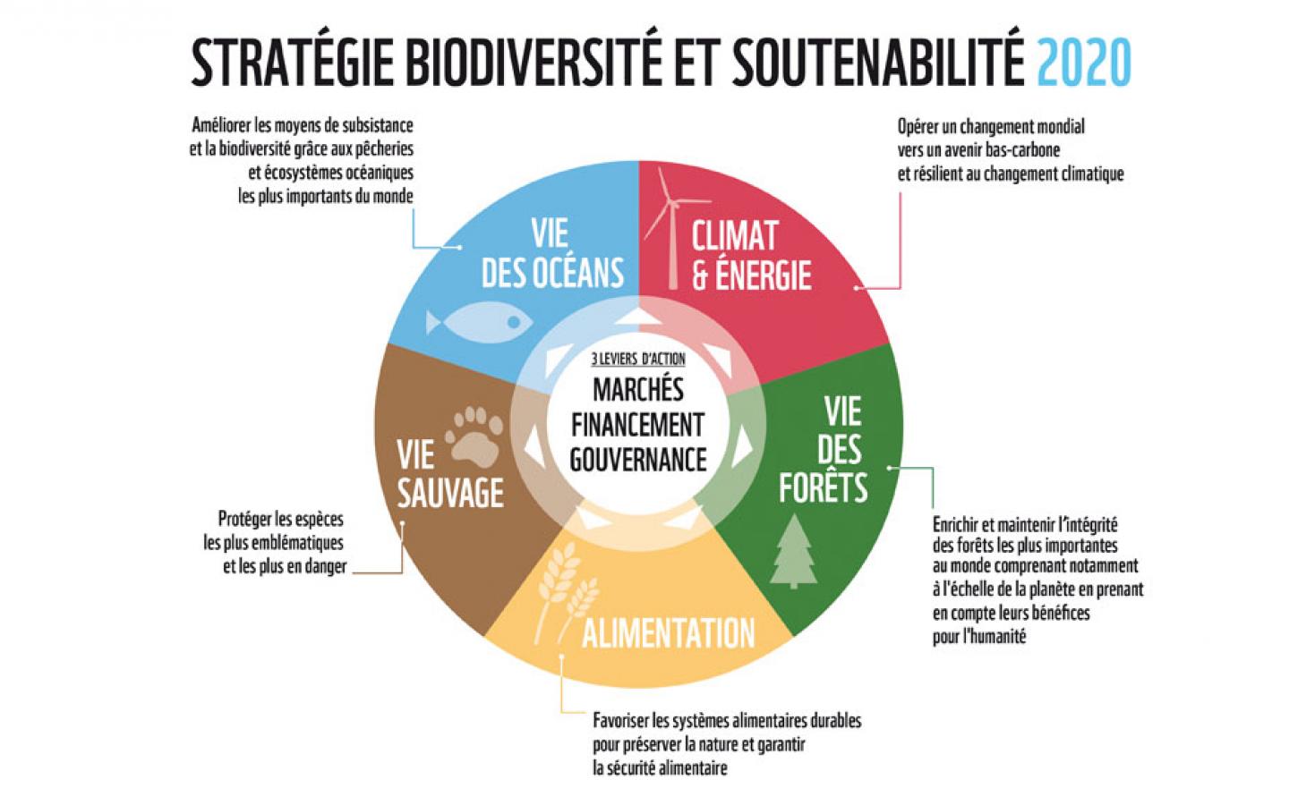 Wwf signification du logo