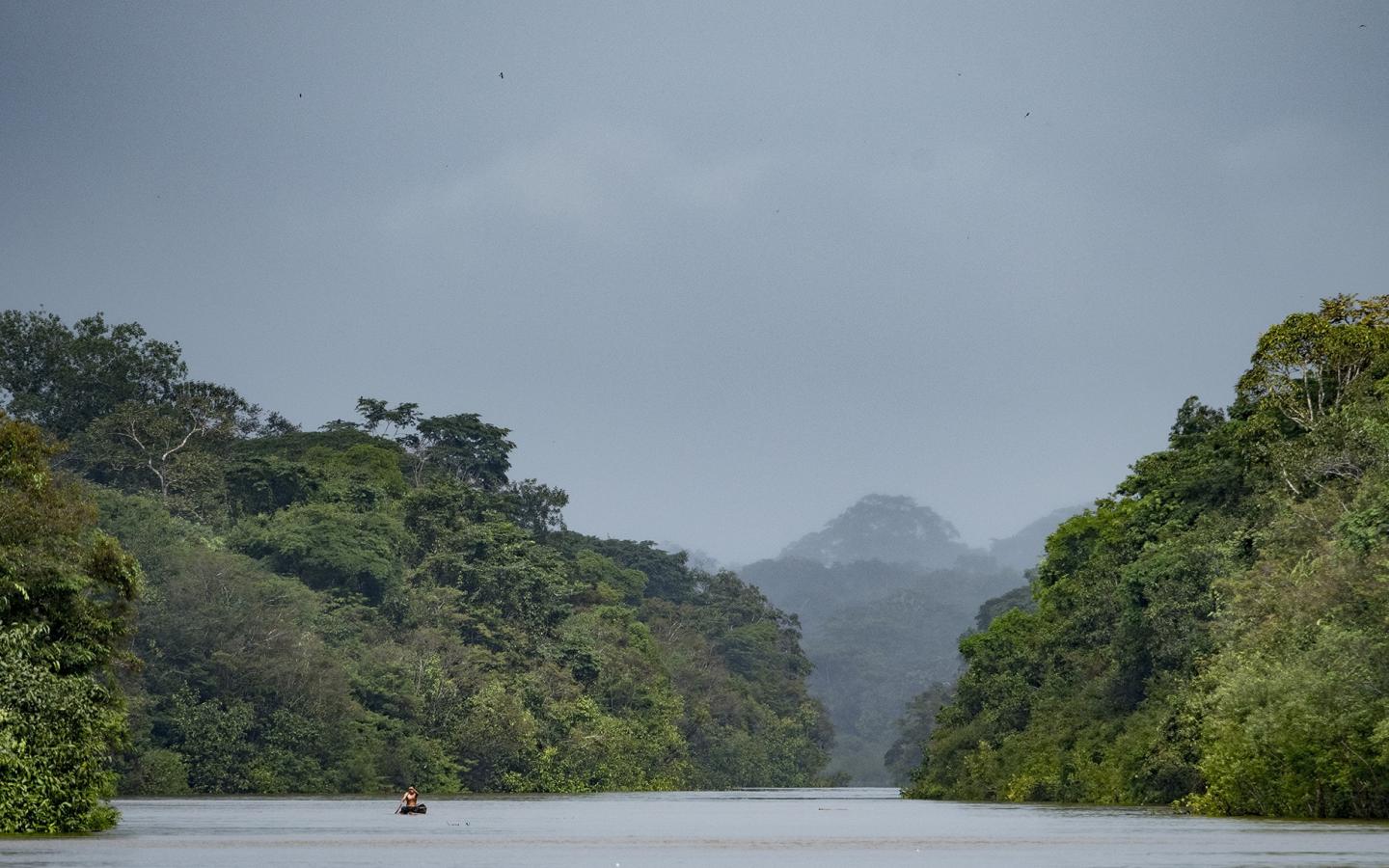 Amazone, Colombie