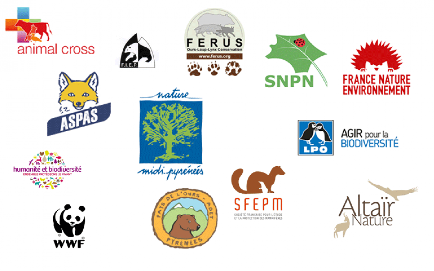 Quatorze associations environnementales ont rendu publiques un sondage sur la protection e l'ours et le lâcher de deux ours femelles.