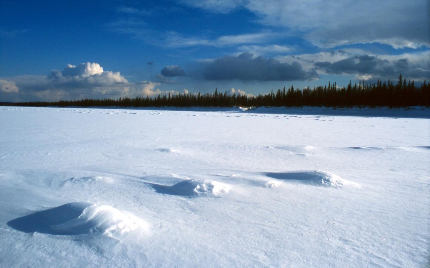 Le fleuve Lena congelée de république de Sakha, Sibérie (Fédération de Russie)