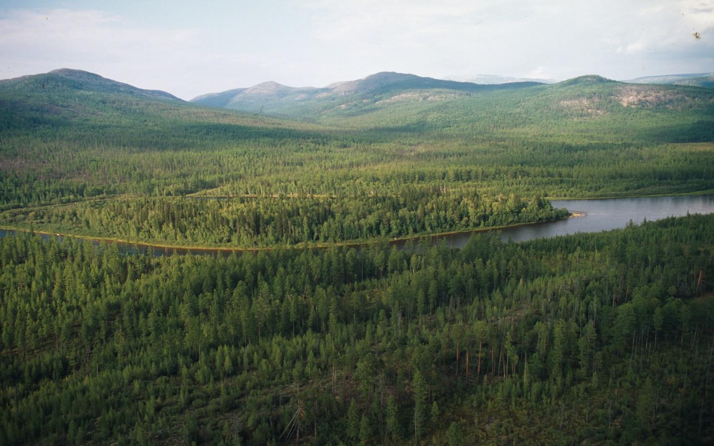 Vue aérienne sur la forêts et les hautes montagnes de sakha (Fédération de Russie) 