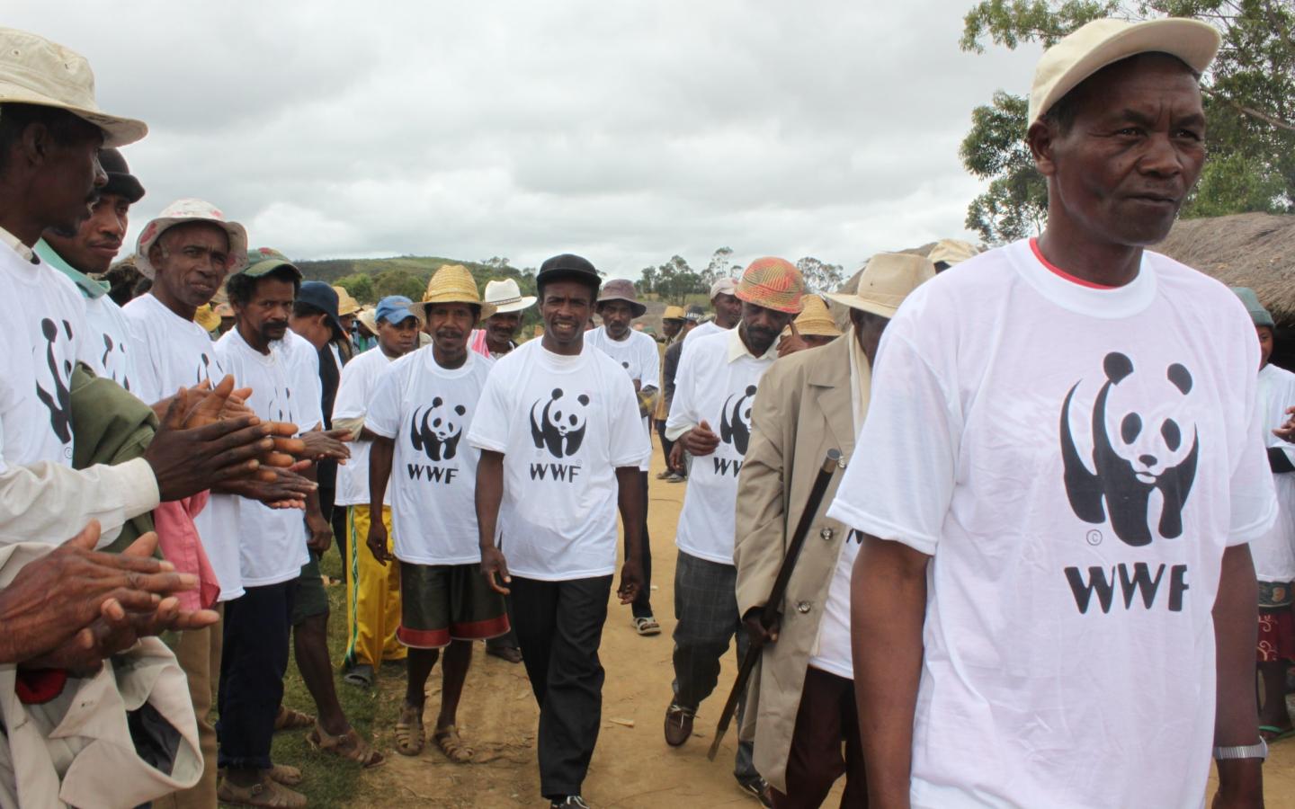 La sensibilisation de la reforestation au WWF Madagascar.