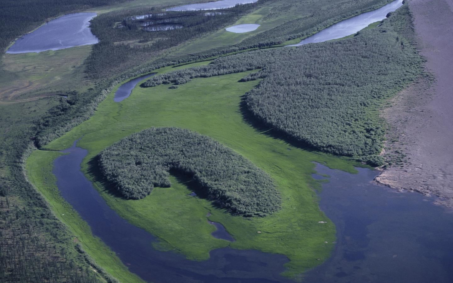 Vue aérienne sur une forêt au bord de la rivière Olenek, en Sibérie (Russie)