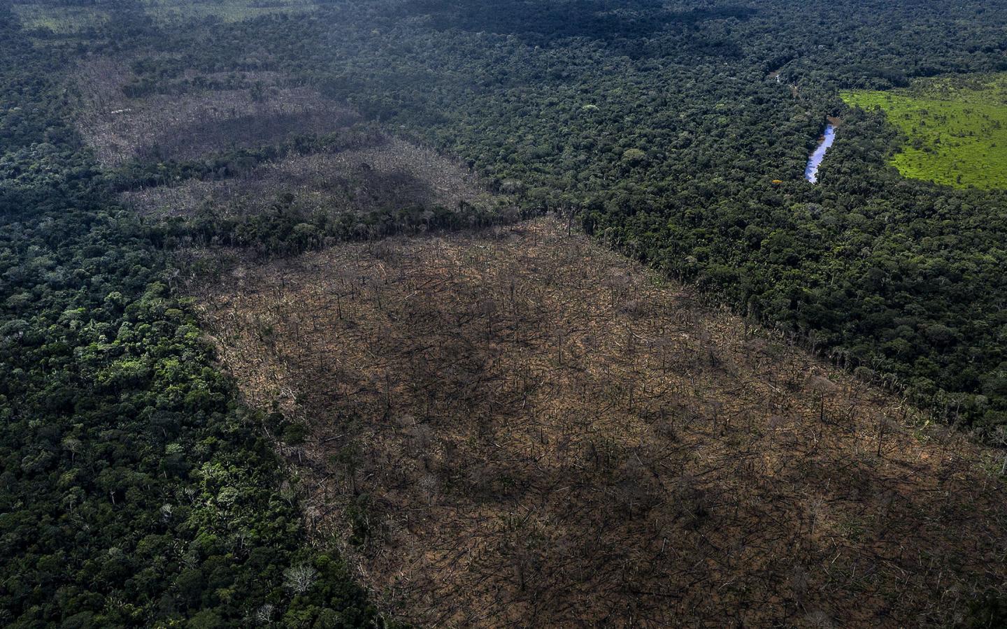 Vue aérienne de déforestation illégale dans le territoire des indigènes Uru-Eu-Wau-Wau
