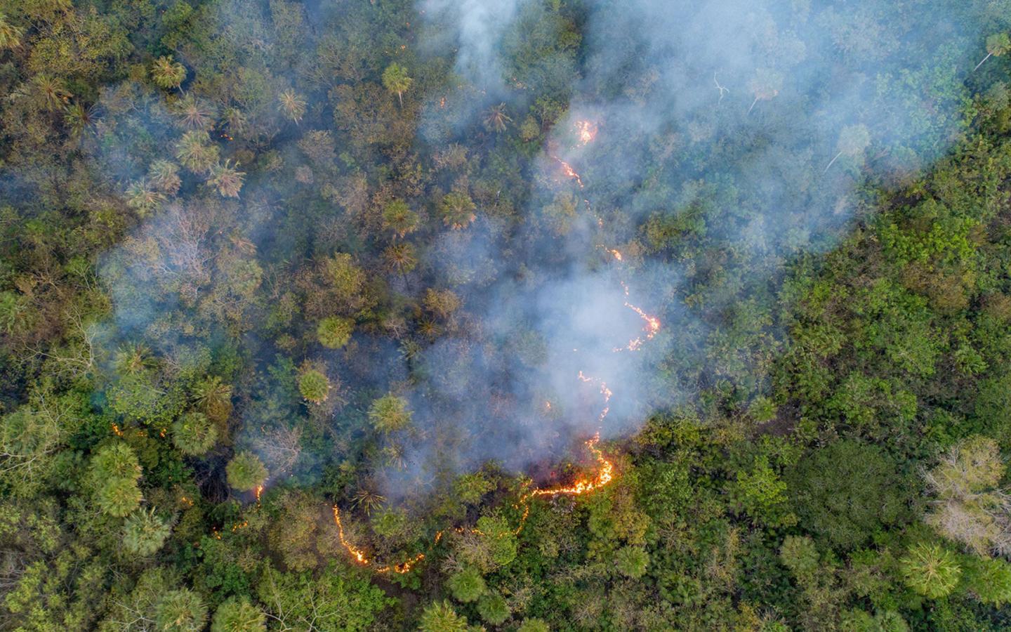 Vue aérienne de la région du Pantanal en feu, image prise le 31/07/2020, vers Ladaro (Black Bay), sud du Malto Grosso, Brésil