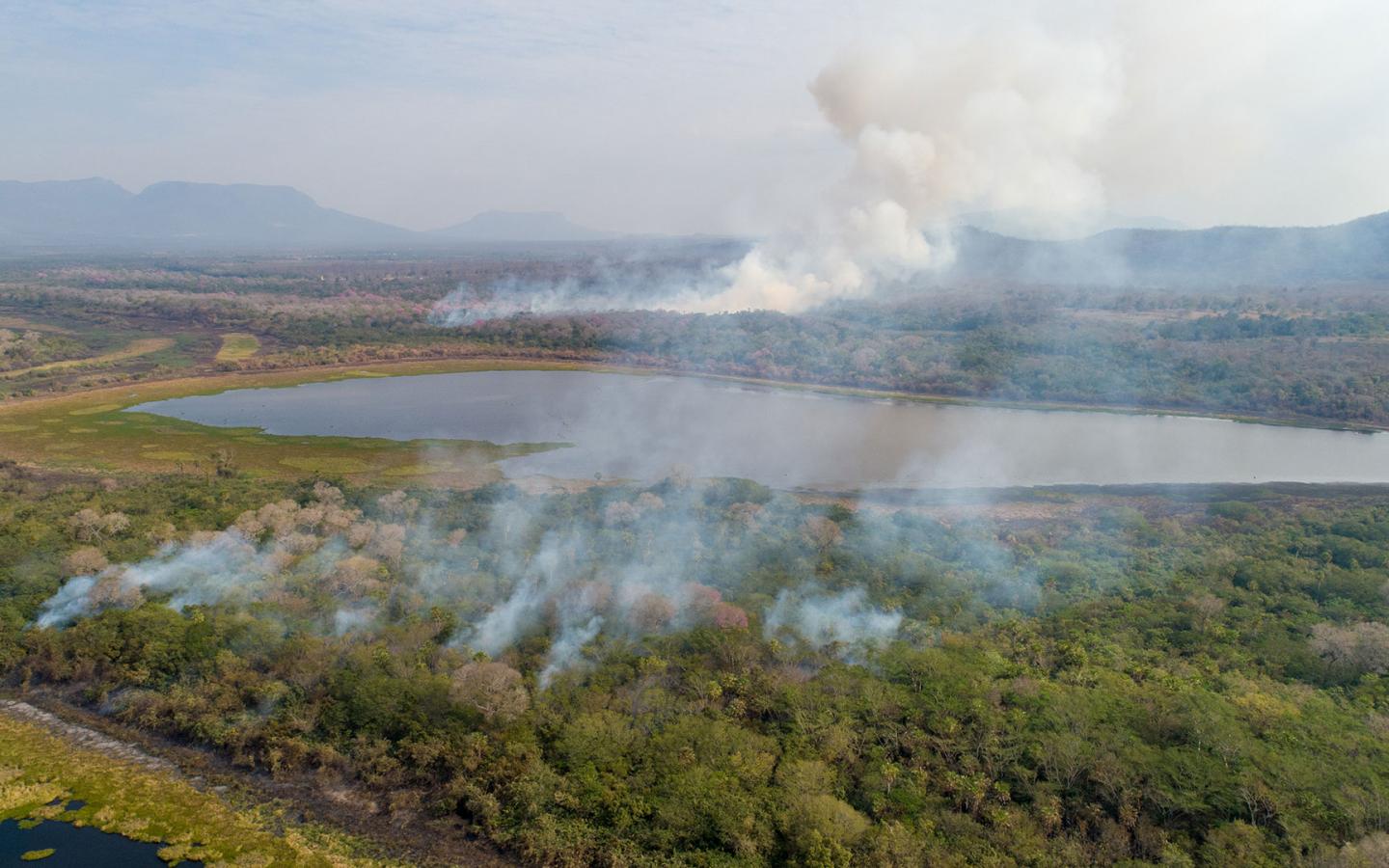 Photographie aérienne des feux au Pantanal prise le 31/07/2020 vers Ladário (Black Bay), sud du Mato Grosso, Brésil