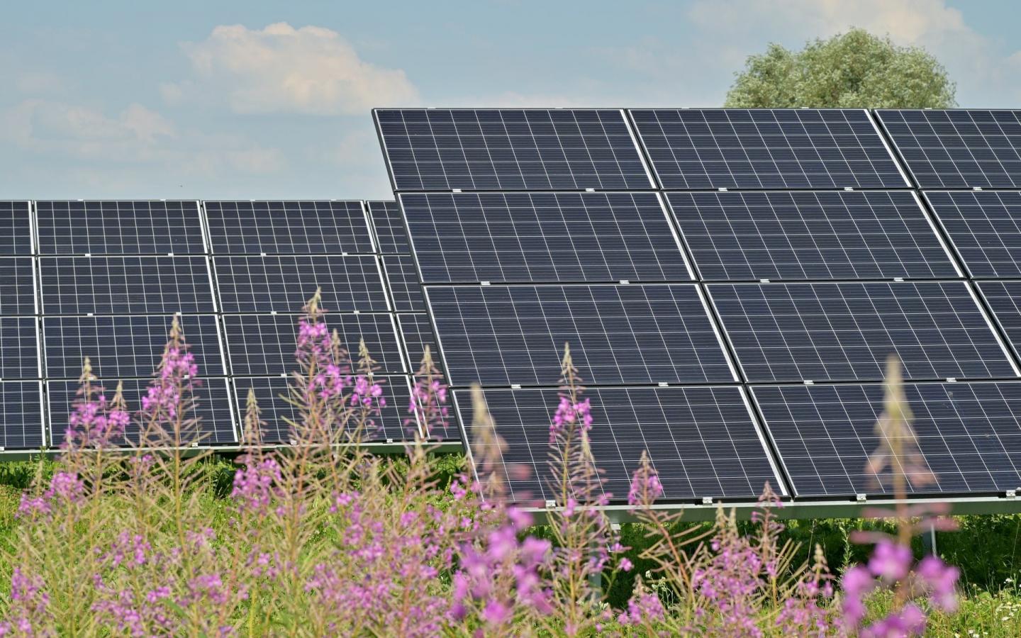 Panneaux solaires dans un champ