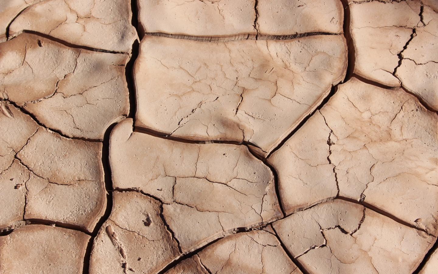 Sol asséché