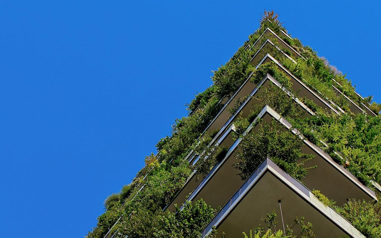 Un immeuble végétalisé