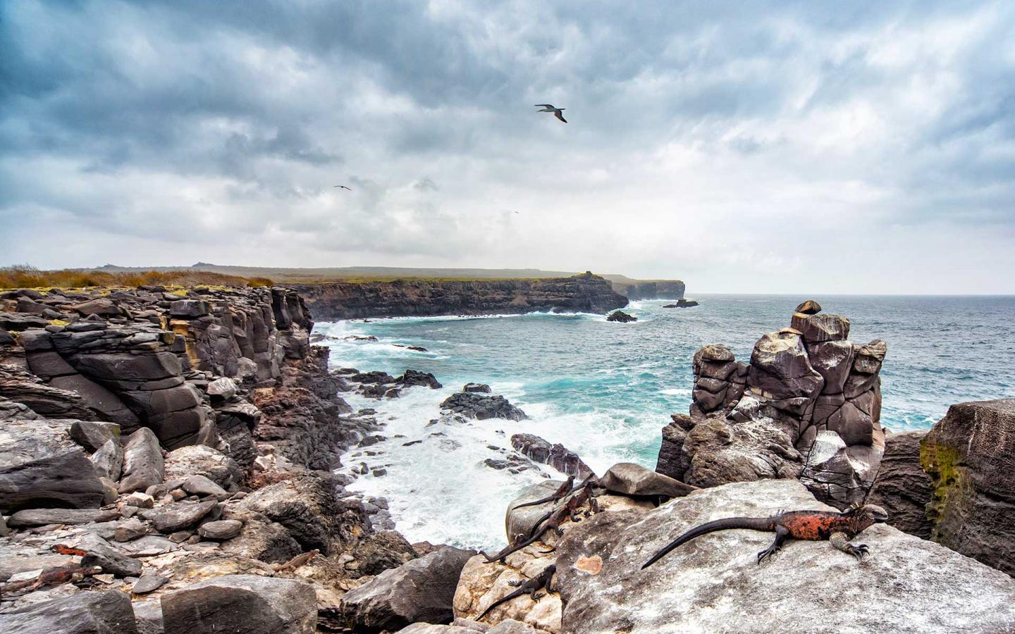îles Galapagos