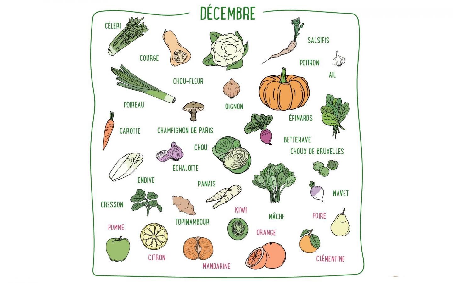 Salsifis, courge, betterave, mâche, orange, clémentine... Découvrez les fruits & légumes de saison du mois de décembre en France métropolitaine.