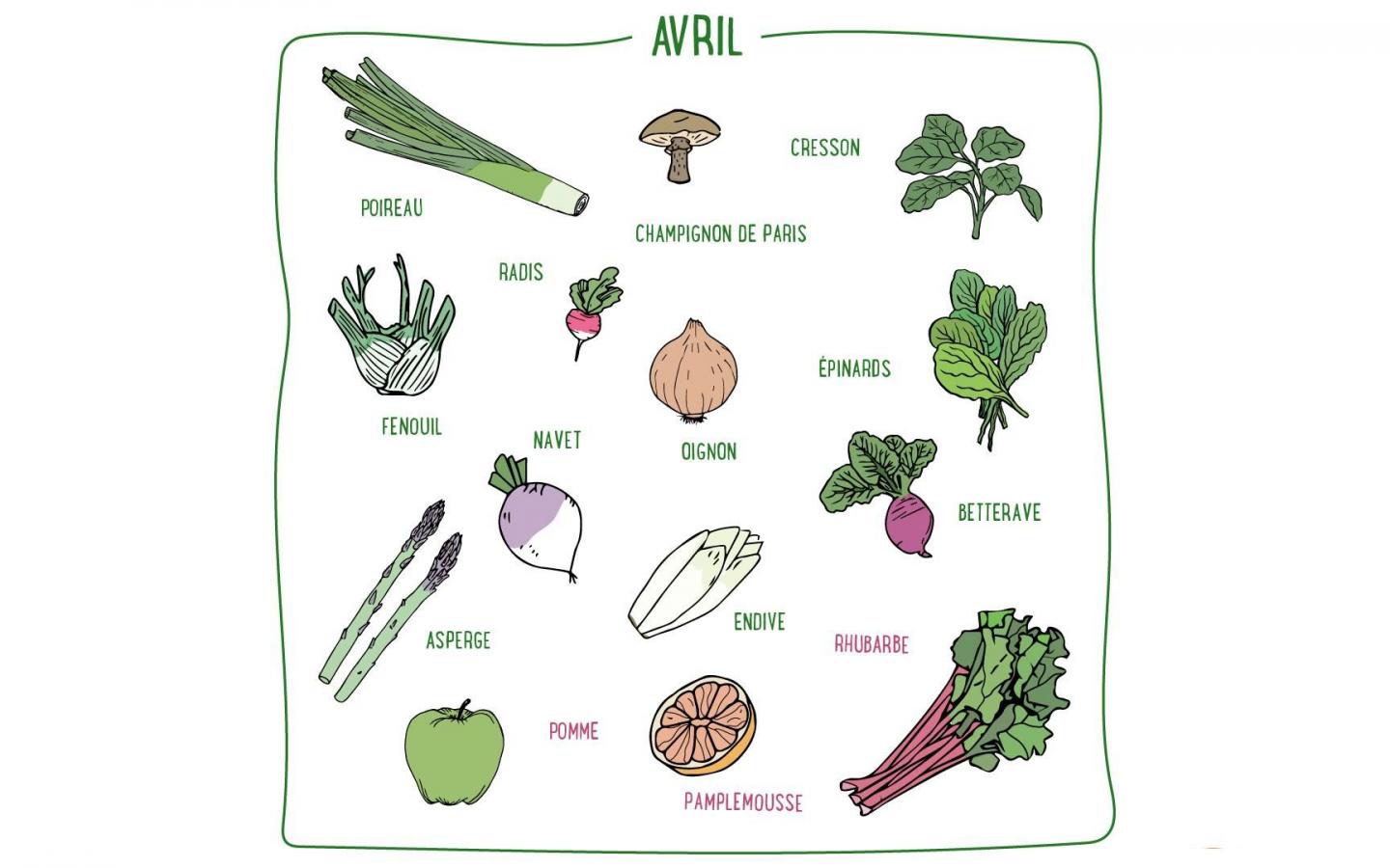 Fenouil, asperges, cresson, rhubarbe, pomme... Découvrez les fruits & légumes de saison en avril en France métropolitaine
