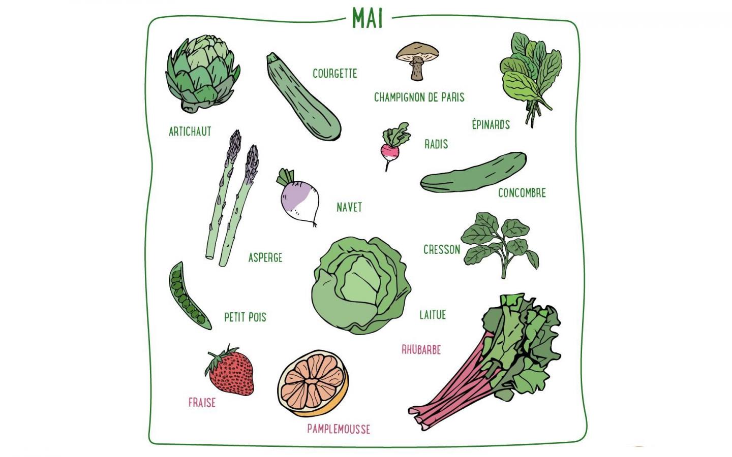 Artichauts, courgettes, laitues, concombres, petits pois, fraises... Découvrez les fruits & légumes de saison de mai en France métropolitaine