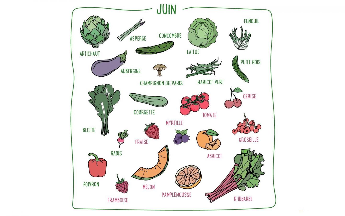 Haricots verts, blettes, tomates, aubergines, melons, cerises... Découvrez les fruits & légumes du mois de juin en France métropolitaine.