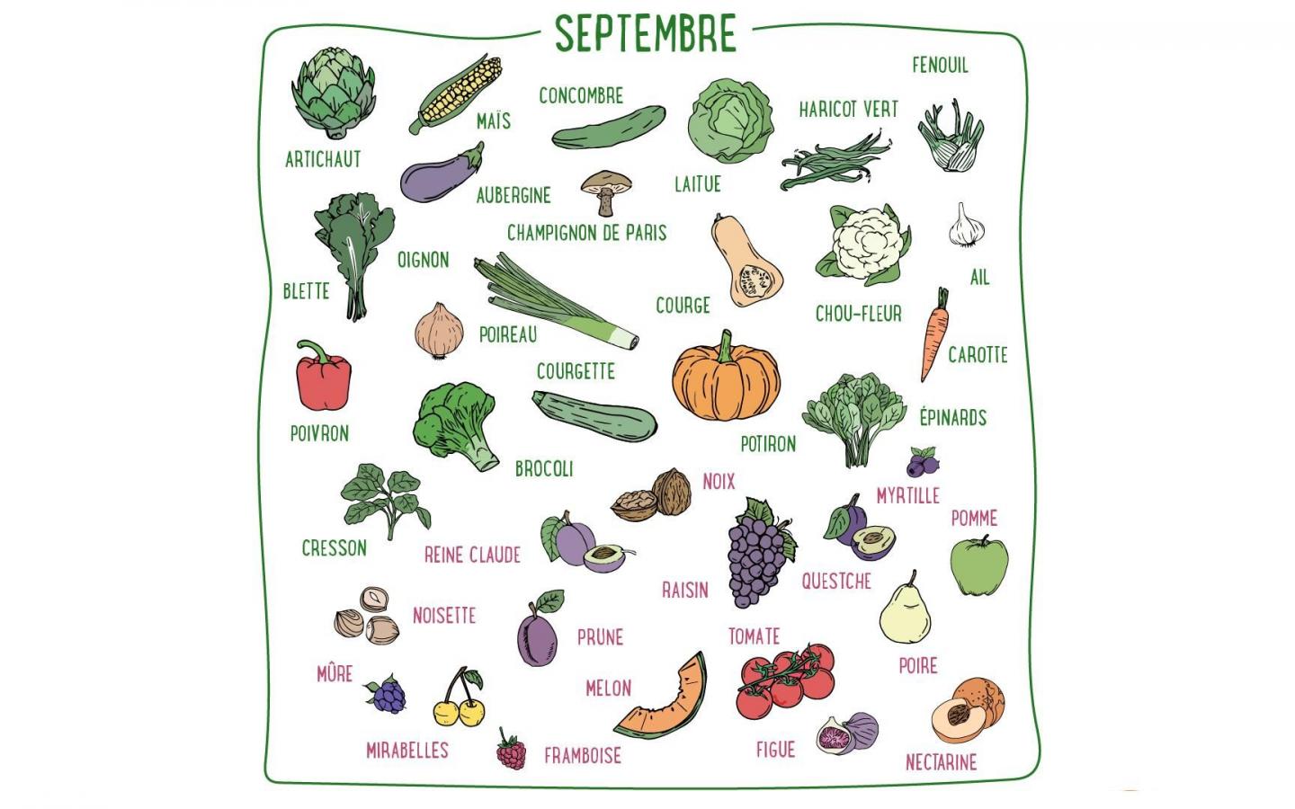 Courge, oignon, brocoli, noix, raisin, noisette... Découvrez les fruits & légumes du mois de septembre en France métropolitaine.