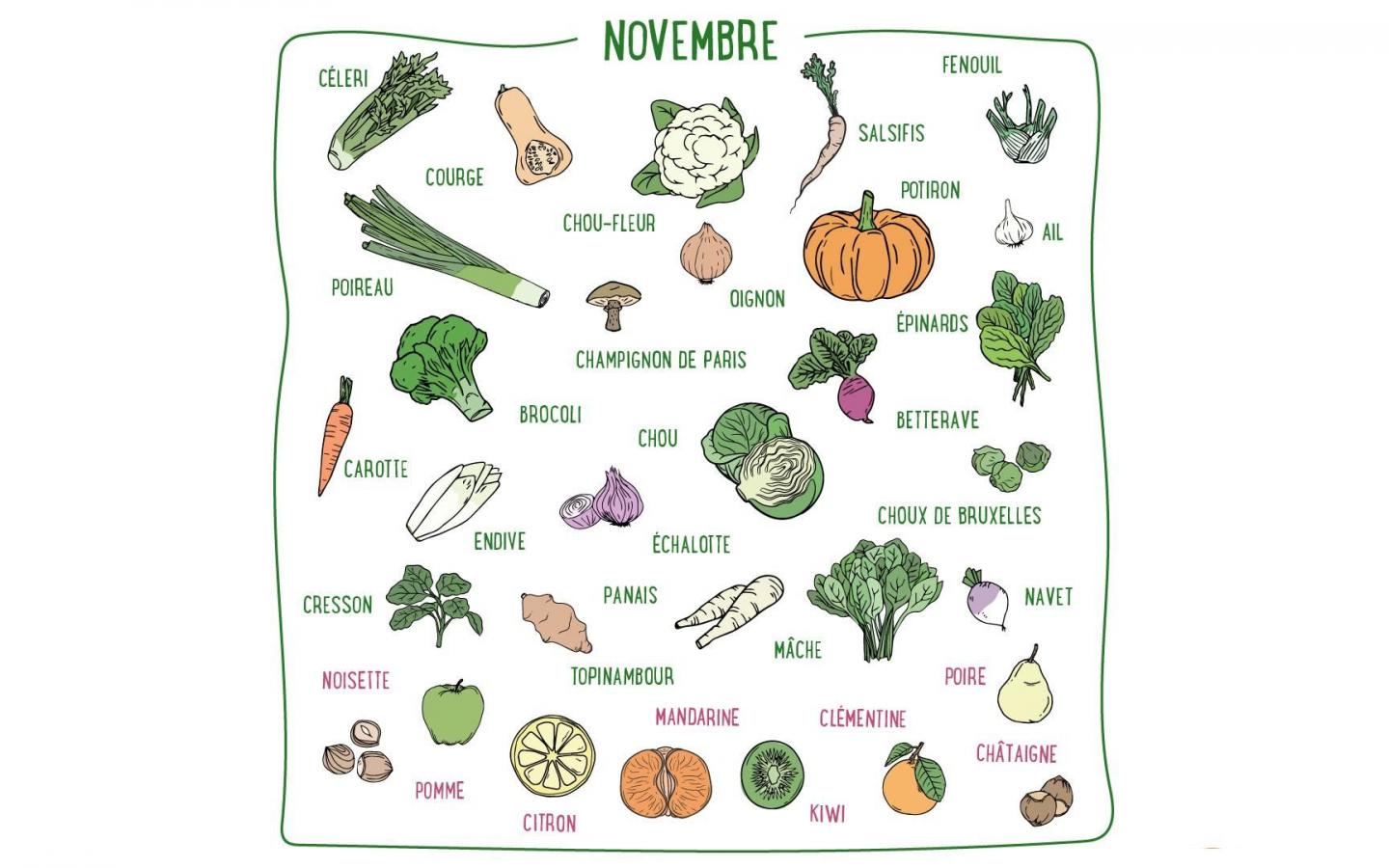 Fenouil, carotte, topinambour, citron, kiwi... Découvrez les fruits & légumes de saison du mois de novembre en France métropolitaine.