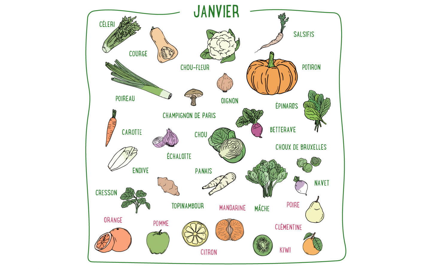 Céleri, citron, chou-fleur, mâche, mandarine, clémentine, poire, orange... Découvrez les fruits et légumes de saison du mois de janvier en France métropolitaine.