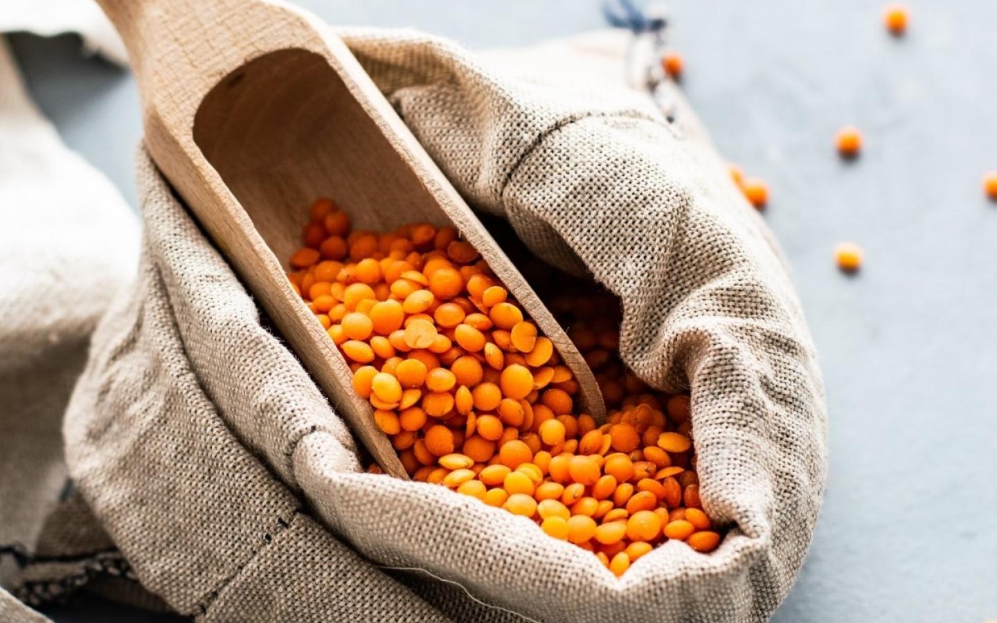 Recette de dahl de lentilles corail