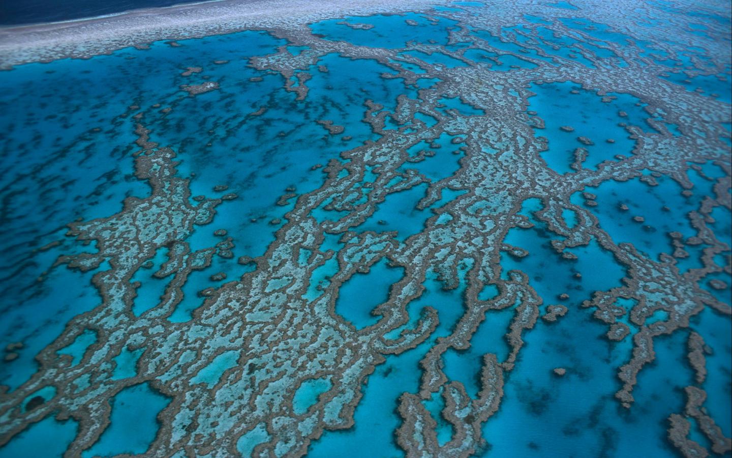 Grande barrière de corail vue du ciel, Australie