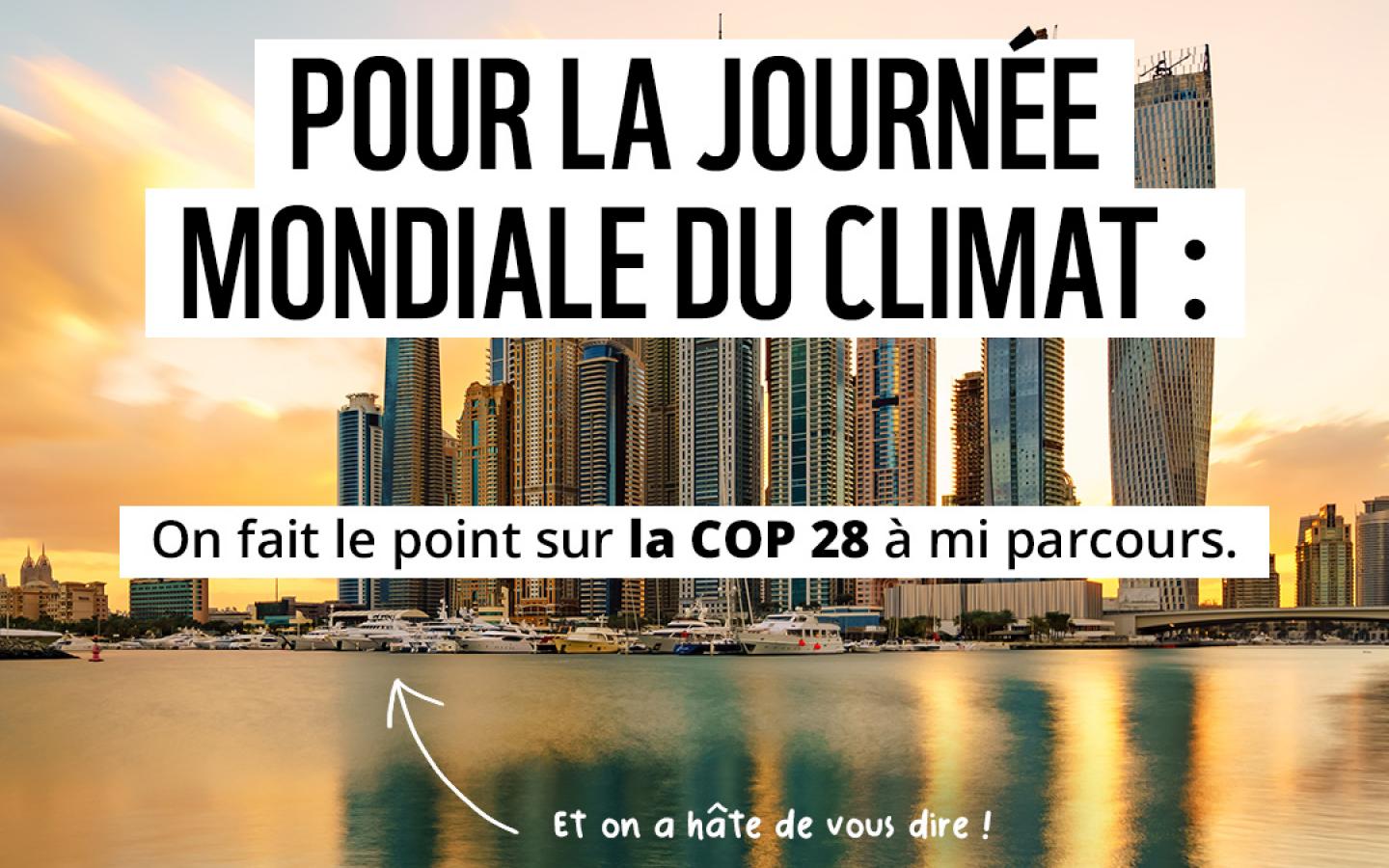 Carrousel COP 28 1