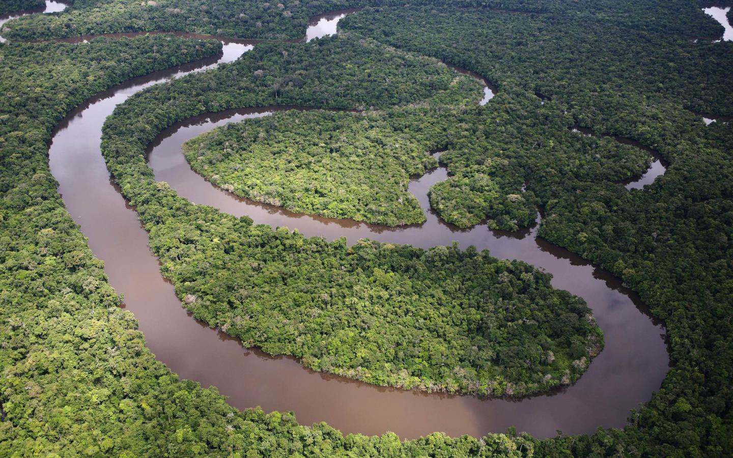 Forêt amazonienne, vue aérienne