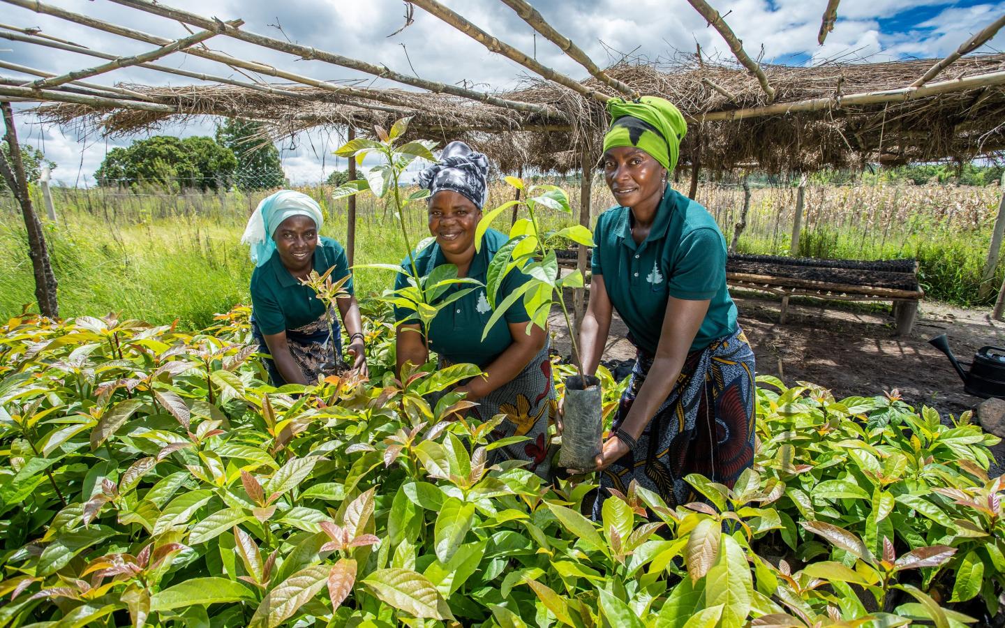 Femmes dans le cadre du programme WWF CARE Alliance