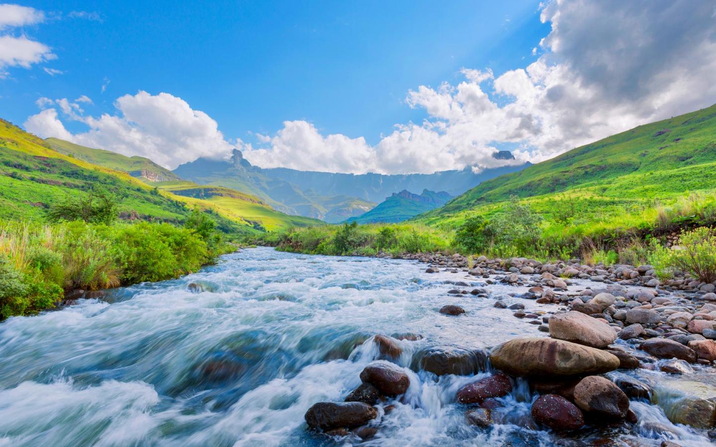 Rapport Planète vivante 2024 - cover - paysage de rivière et de montagne