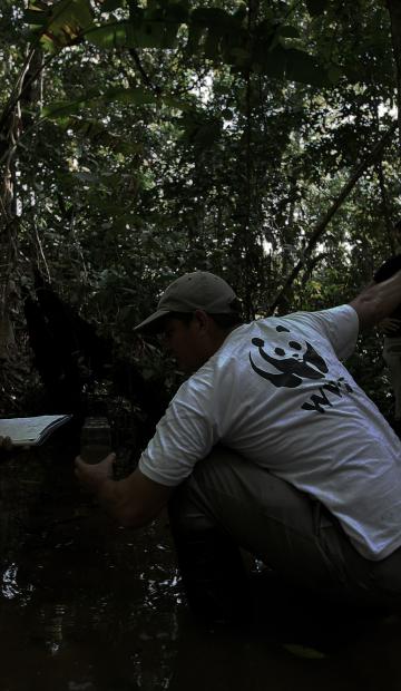 WWF intervient dans la jungle