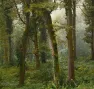Projet Forestier de Tilhouse, dans les Hautes-Pyrénées