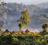 Village pygmé en pleine forêt de la Réserve naturelle d'Itombwe