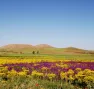 Paysage du Moyen Atlas, au Maroc