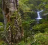 Le WWF France annonce la première signature d’une Obligation Réelle Environnementale dans le cadre  de l’initiative Nature Impact