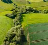 Campagne agroforesterie - Plantons des haies dans les champs