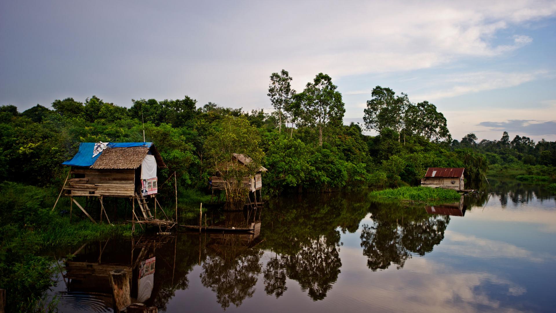 High conservation value area près à Sumatra