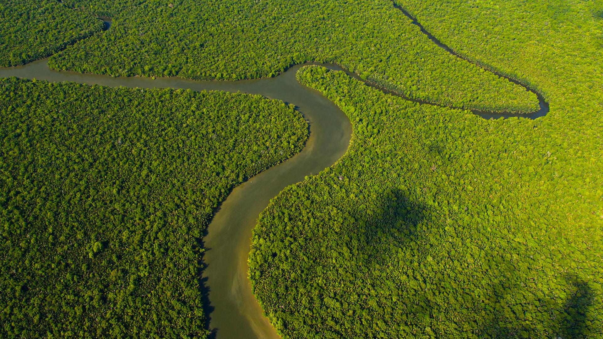 Vue aérienne de la rivière Kinabatangan et de la forêt tropicale, Sabah, Bornéo, Malaisie