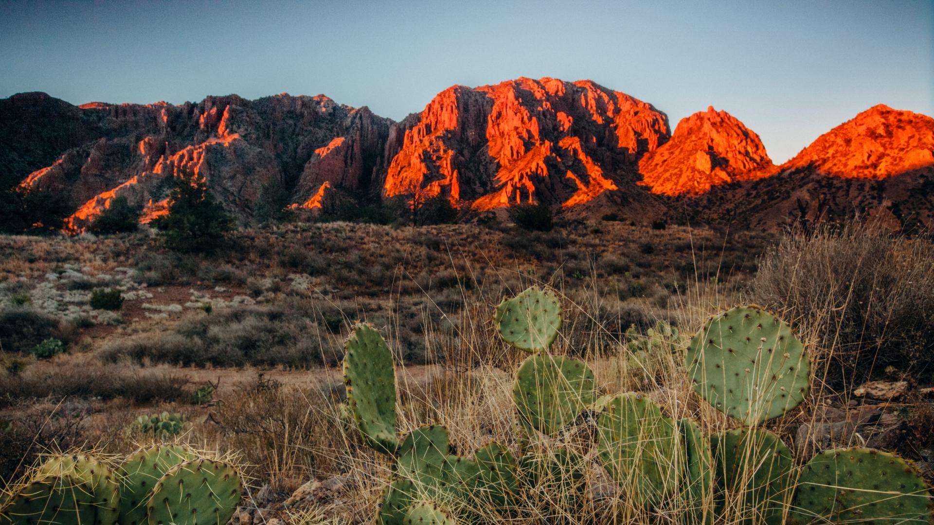 Paysage du Parc national du Big Bend, Texas (Etats-Unis)