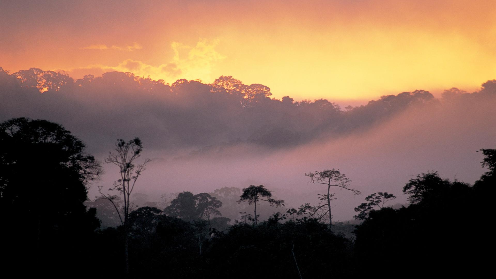 Coucher de soleil sur la forêt amazonienne, Guyane