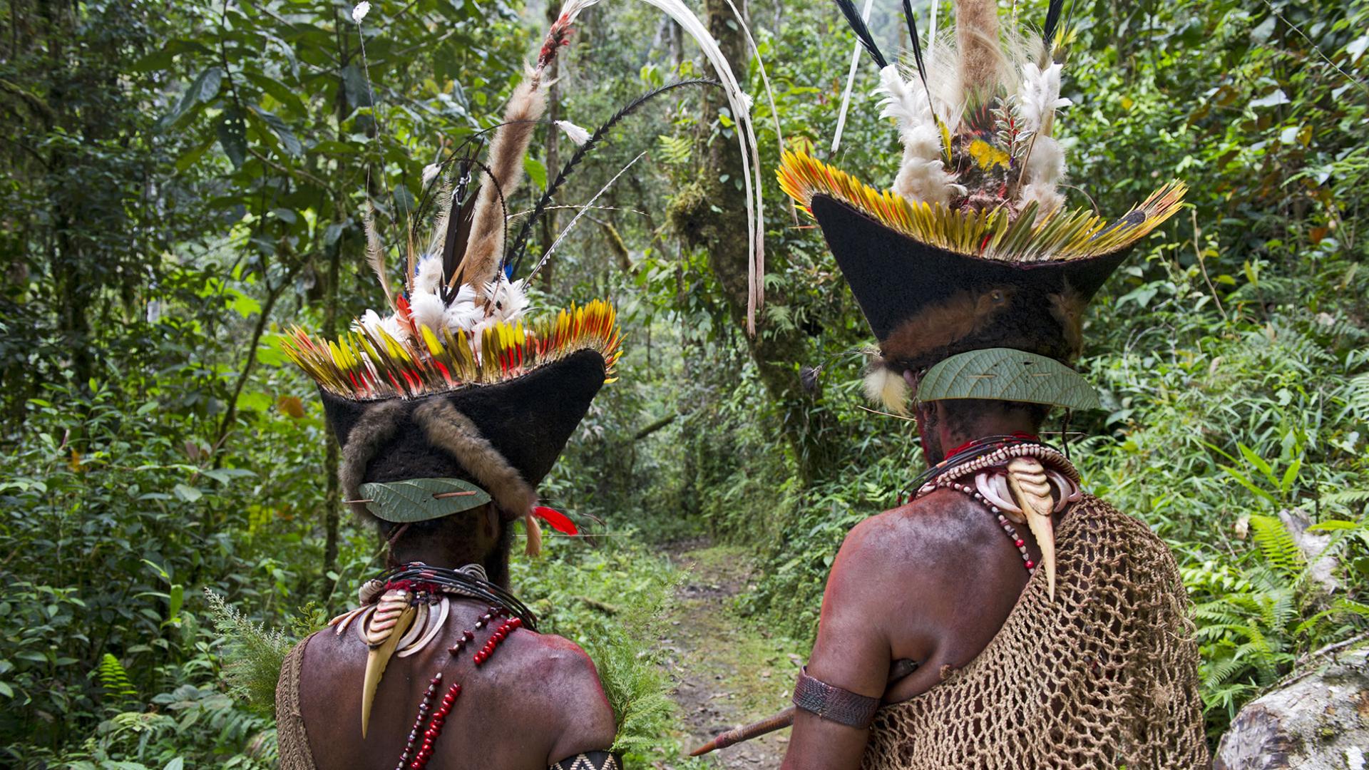 Hommes Huli utilisant des becs de Calao comme collier PNG