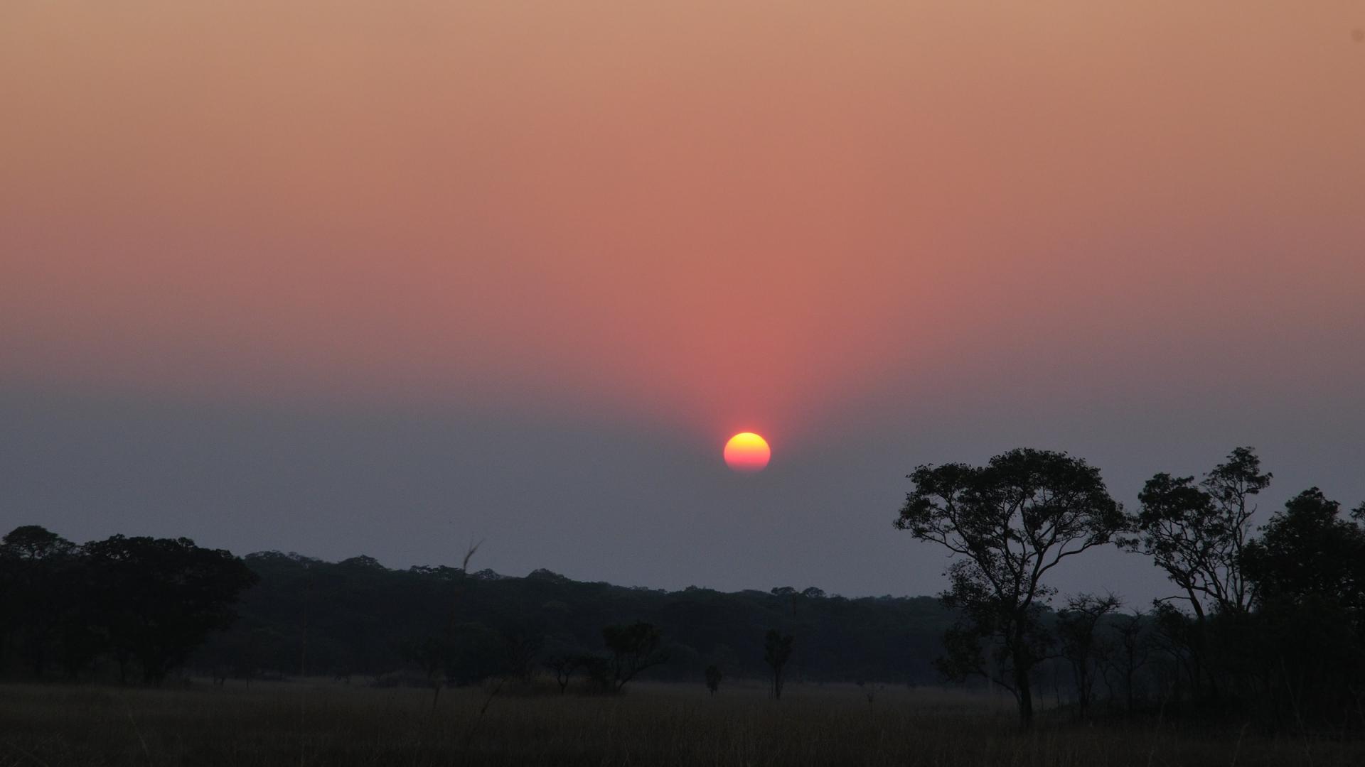Couché de soleil sur la forêt de Miombo en Afrique Centrale 