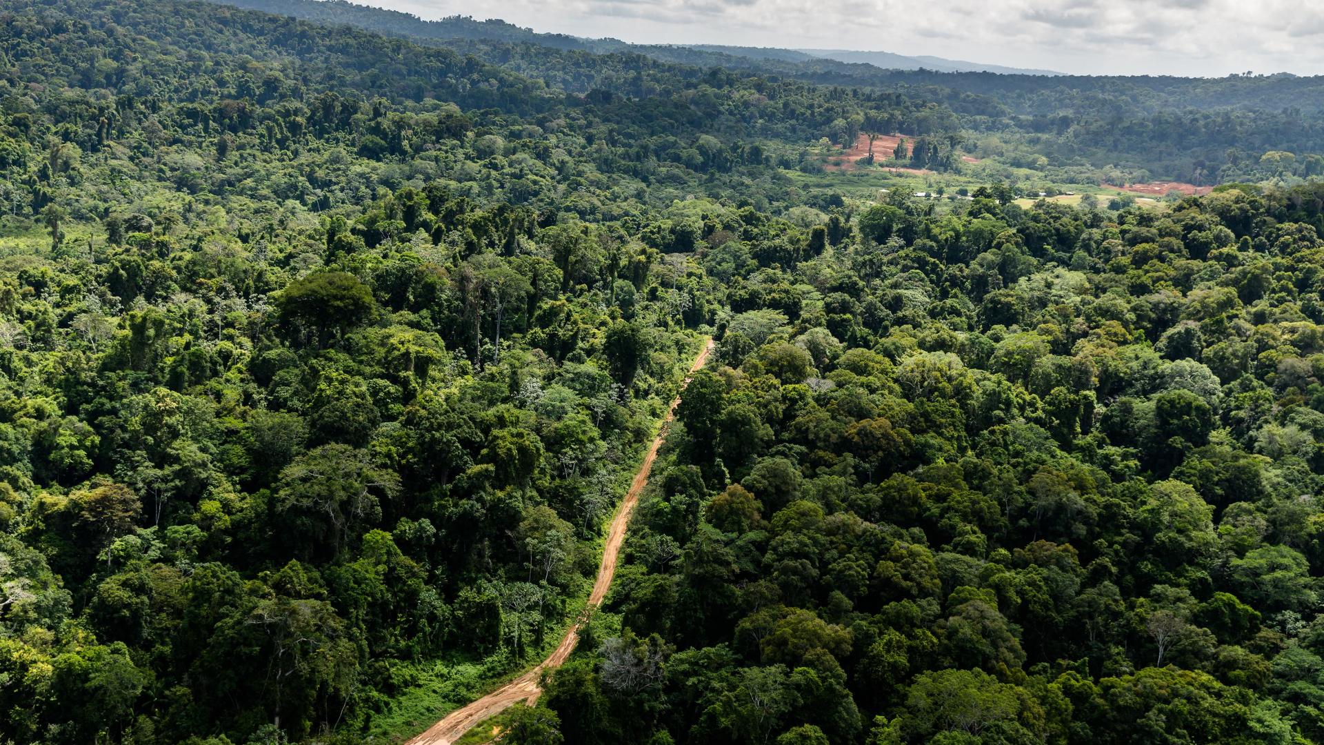Vue aérienne de la piste d'atterrissage Paul Isnard près du camp "Montagne d'Or", premier projet d'exploitation aurifère industriel de la société internationale Nordgold (Guyane française)