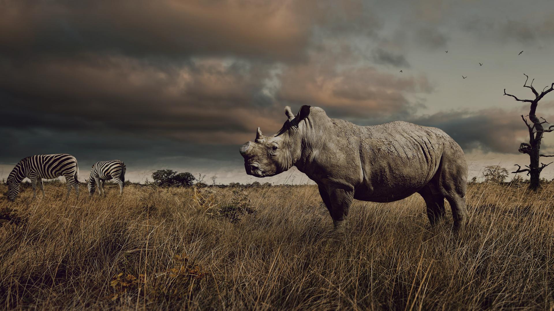 bienvenue sur le site du wwf france wwf france
