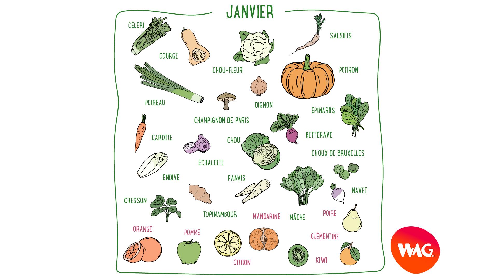 Céleri, citron, chou-fleur, mâche, mandarine, clémentine, poire, orange... Découvrez les fruits et légumes de saison du mois de janvier en France métropolitaine.